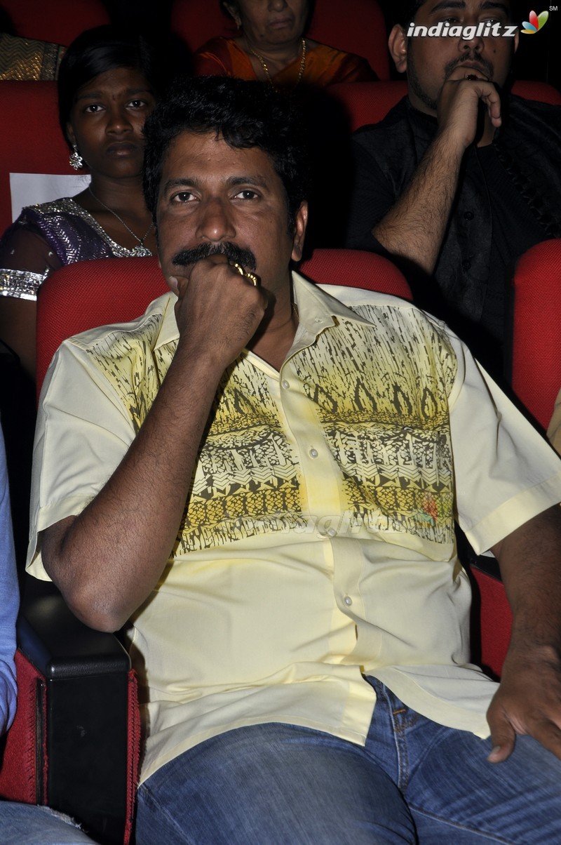 'Bhale Manchi Roju' Audio Launch (Set-02)