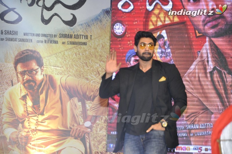 'Bhale Manchi Roju' Audio Launch (Set-02)