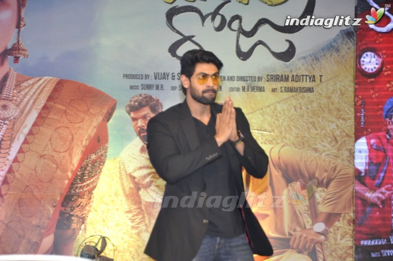 'Bhale Manchi Roju' Audio Launch (Set-02)