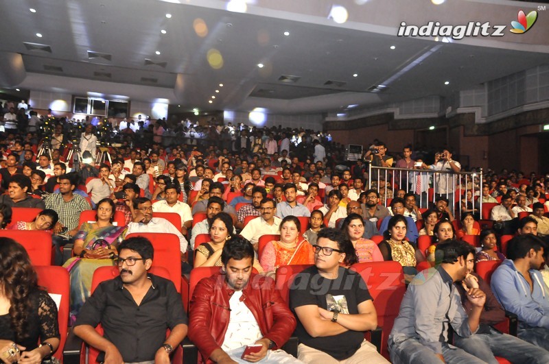 'Bhale Manchi Roju' Audio Launch (Set-02)