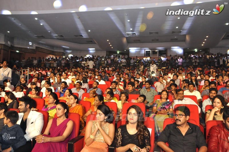 'Bhale Manchi Roju' Audio Launch (Set-02)