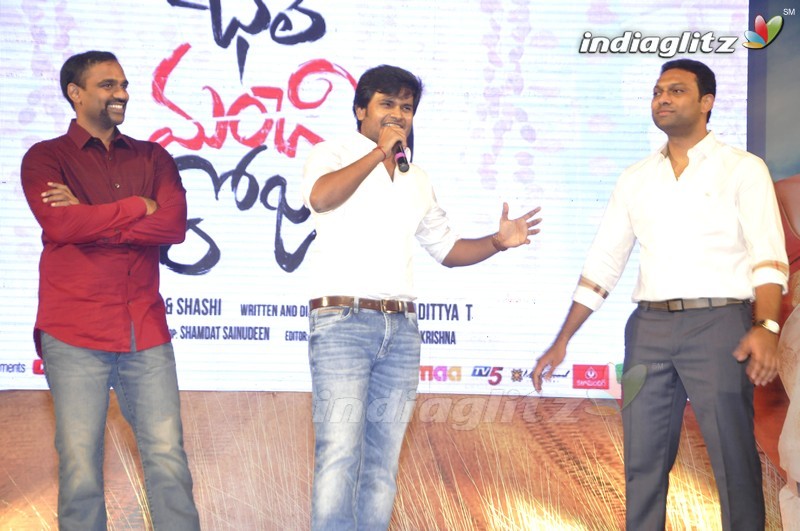 'Bhale Manchi Roju' Audio Launch (Set-02)