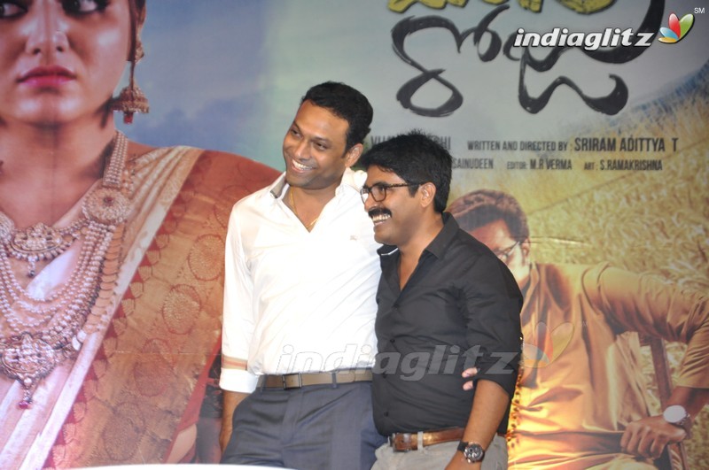 'Bhale Manchi Roju' Audio Launch (Set-02)