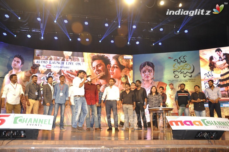 'Bhale Manchi Roju' Audio Launch (Set-02)