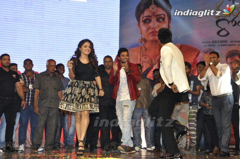 'Bhale Manchi Roju' Audio Launch (Set-02)