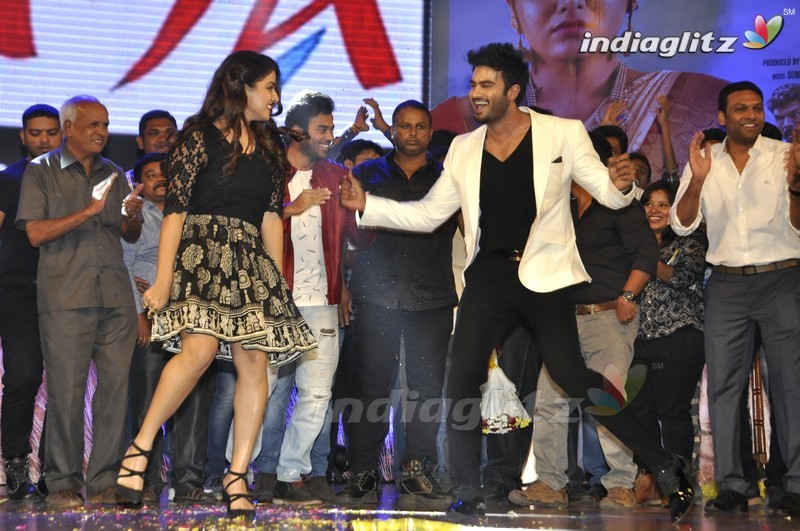 'Bhale Manchi Roju' Audio Launch (Set-02)