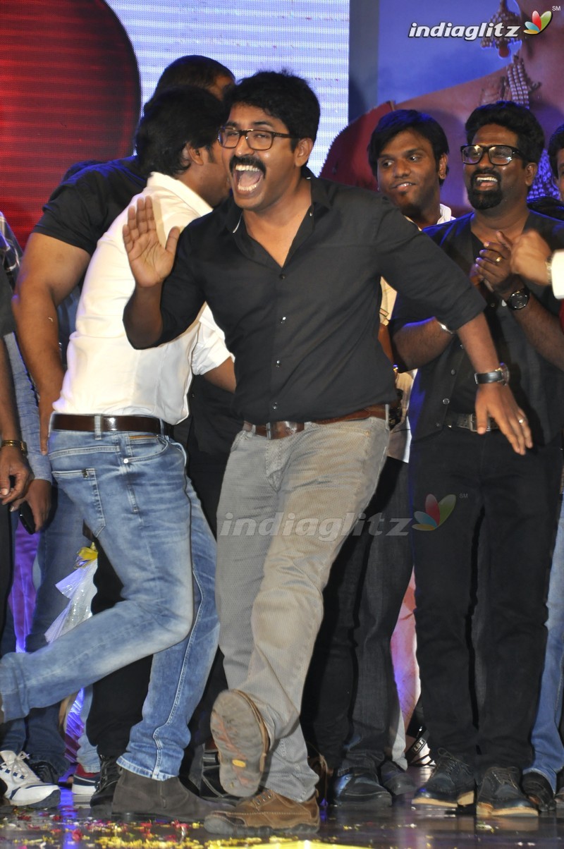 'Bhale Manchi Roju' Audio Launch (Set-02)