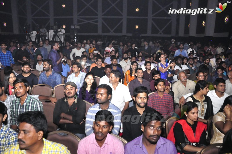 'Brahmotsavam' Audio Launch (Set-1)