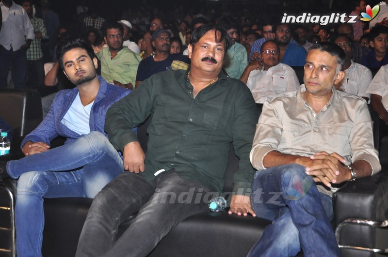 'Brahmotsavam' Audio Launch (Set-1)