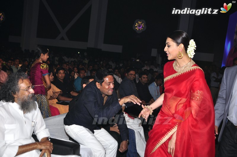 'Brahmotsavam' Audio Launch (Set-1)