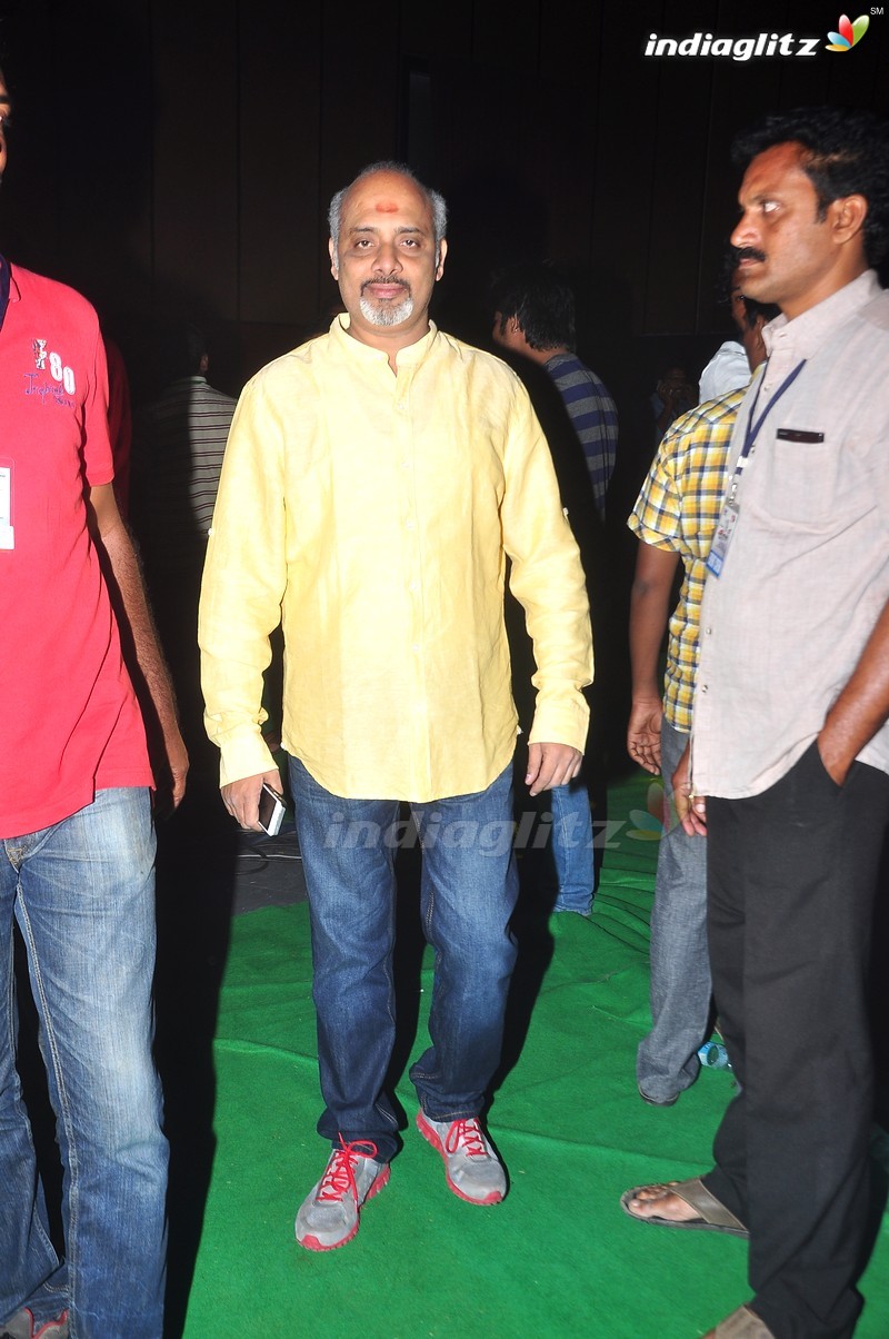 'Bruce Lee' Audio Launch (Set-1)