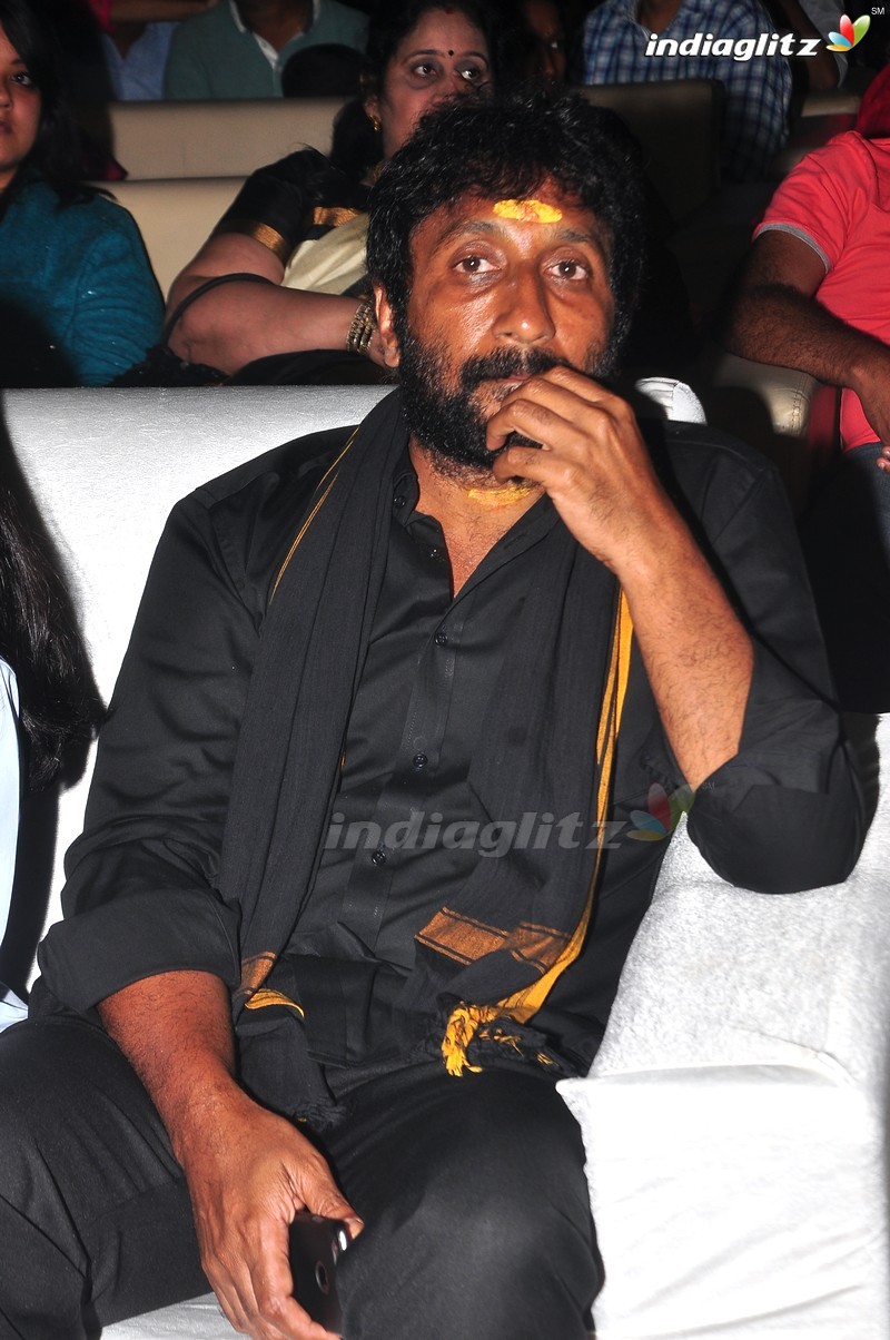 'Bruce Lee' Audio Launch (Set-1)