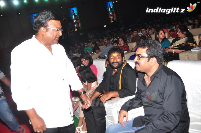 'Bruce Lee' Audio Launch (Set-1)