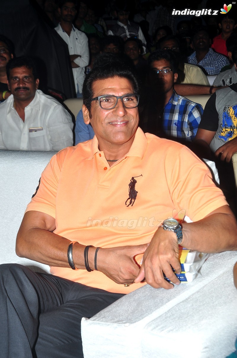 'Bruce Lee' Audio Launch (Set-1)