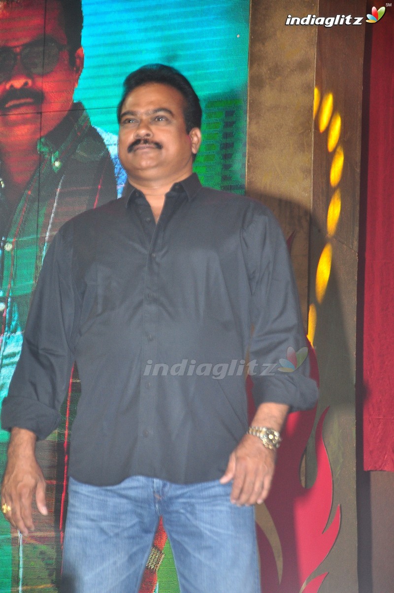 'Bruce Lee' Audio Launch (Set-1)