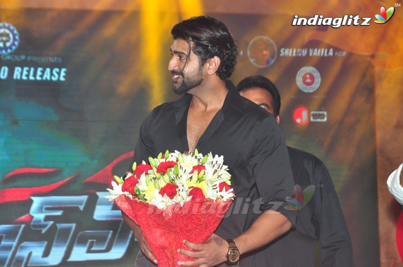 'Bruce Lee' Audio Launch (Set-1)