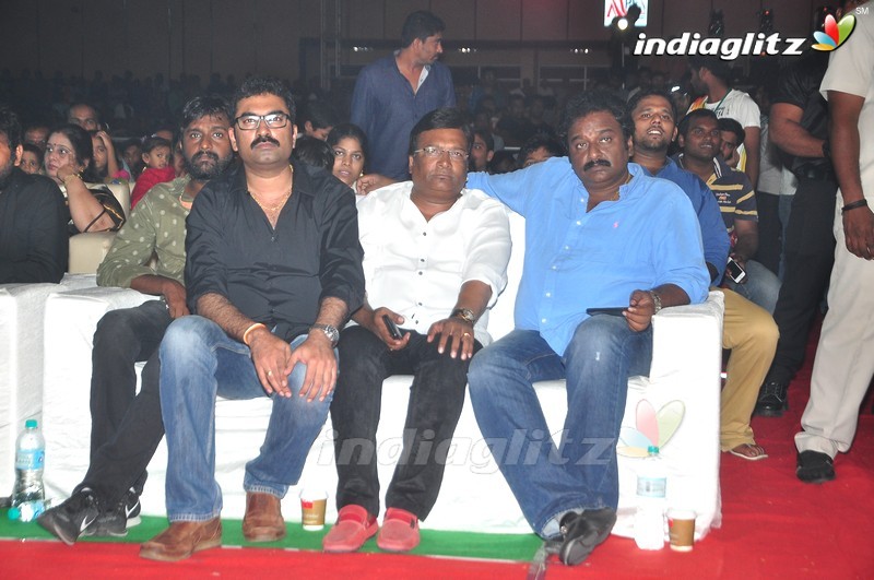 'Bruce Lee' Audio Launch (Set-1)