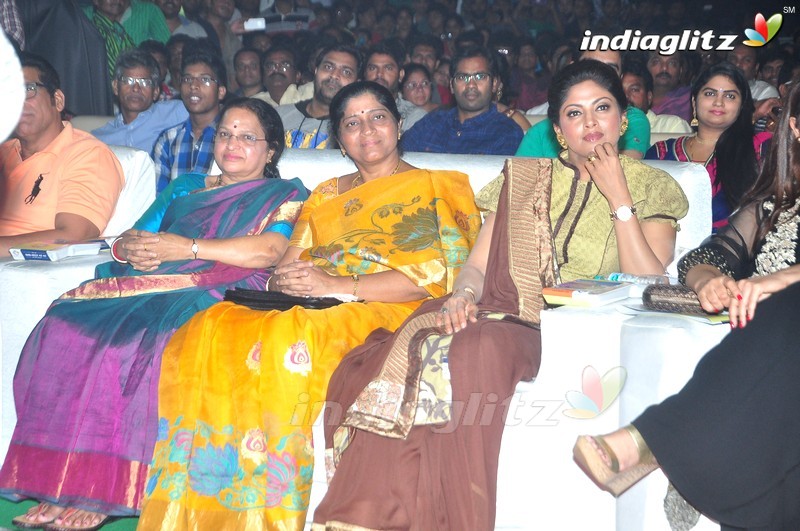 'Bruce Lee' Audio Launch (Set-1)