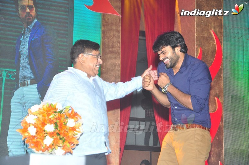 'Bruce Lee' Audio Launch (Set-2)