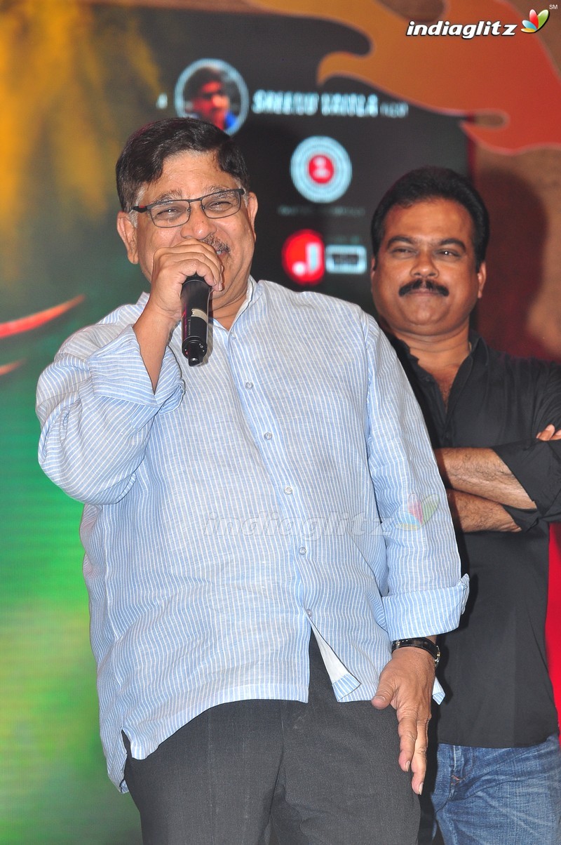 'Bruce Lee' Audio Launch (Set-2)