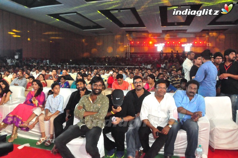 'Bruce Lee' Audio Launch (Set-2)