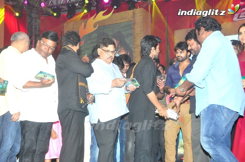 'Bruce Lee' Audio Launch (Set-2)