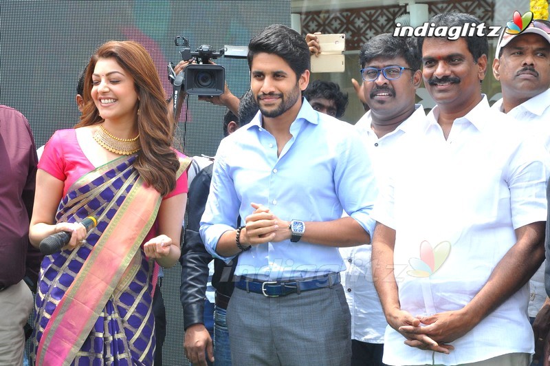 Naga Chaitanya & Kajal Inaugurate Chennai Shopping Mall