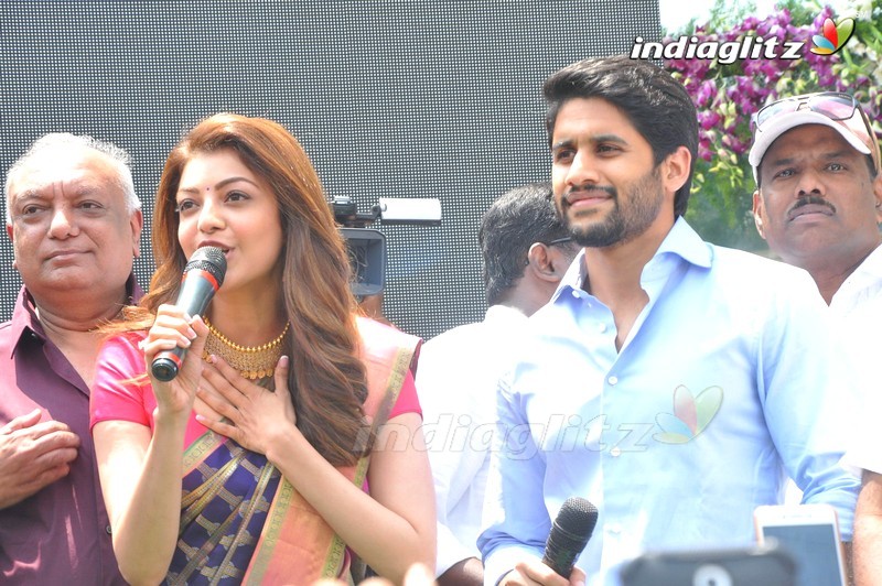 Naga Chaitanya & Kajal Inaugurate Chennai Shopping Mall