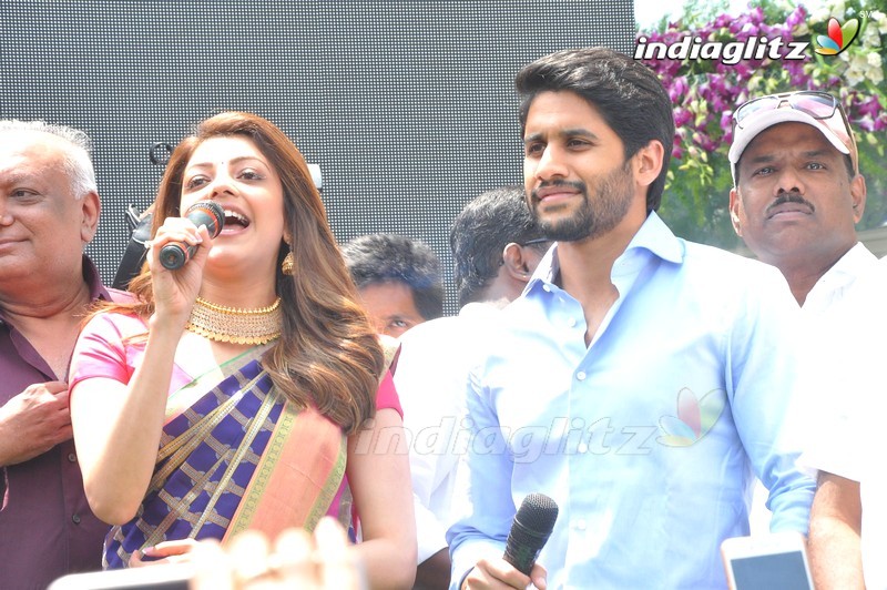 Naga Chaitanya & Kajal Inaugurate Chennai Shopping Mall