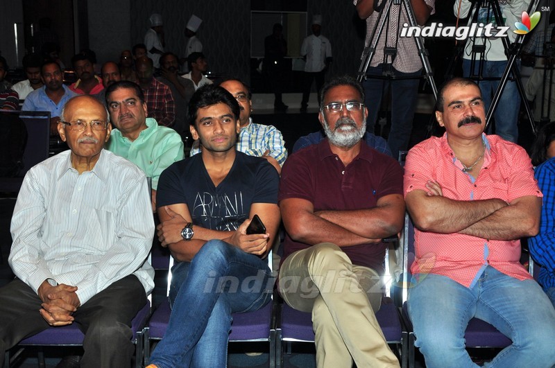 'Chal Chal Gurram' Audio Launch