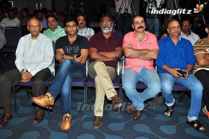 'Chal Chal Gurram' Audio Launch