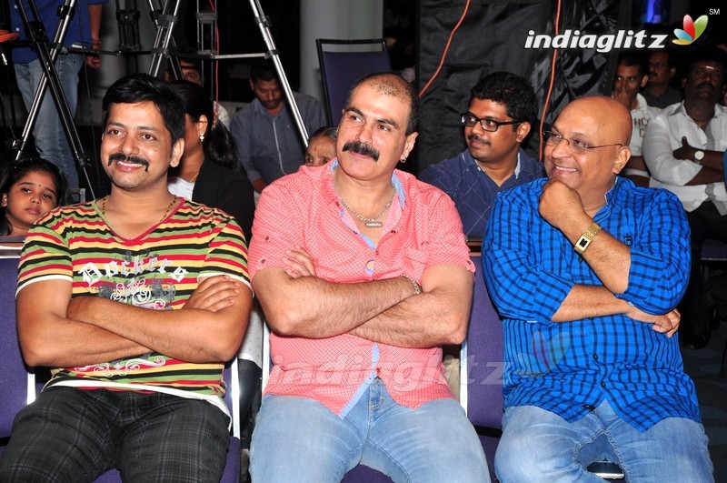 'Chal Chal Gurram' Audio Launch