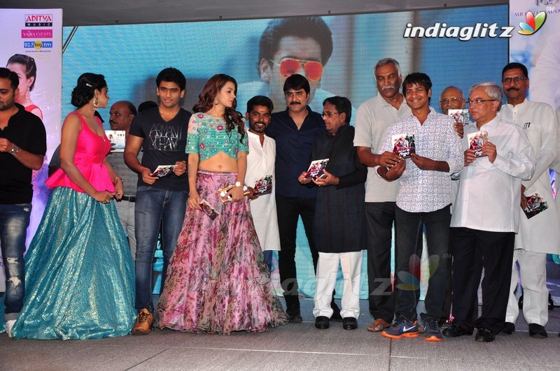 'Chal Chal Gurram' Audio Launch