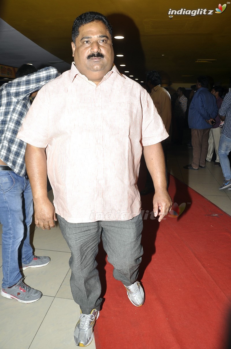 Celebs @ Cheekati Rajyam Premiere Show At Imax