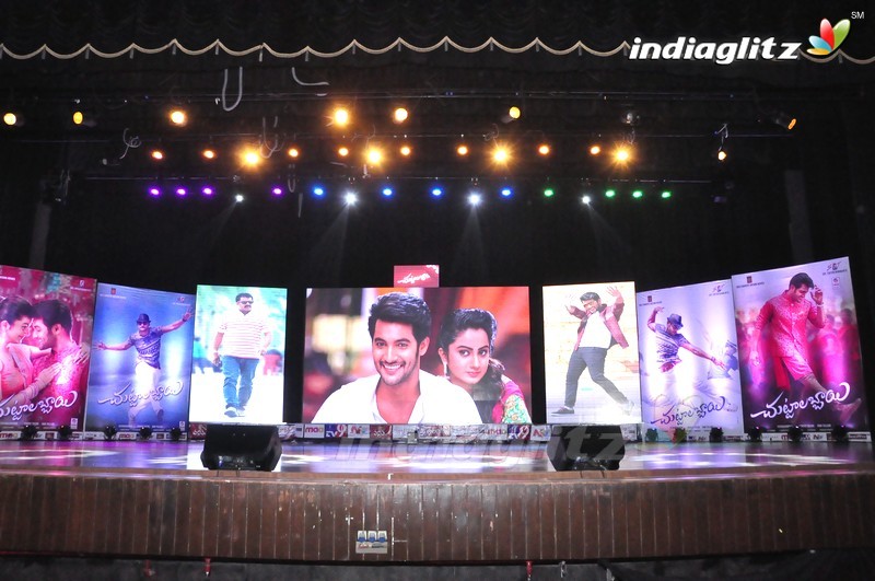 'Chuttalabbai' Audio Launch (Set-1)