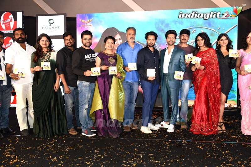 'Crazy Crazy Feeling' Audio Launch