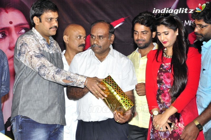 'Dandu' Audio Launch