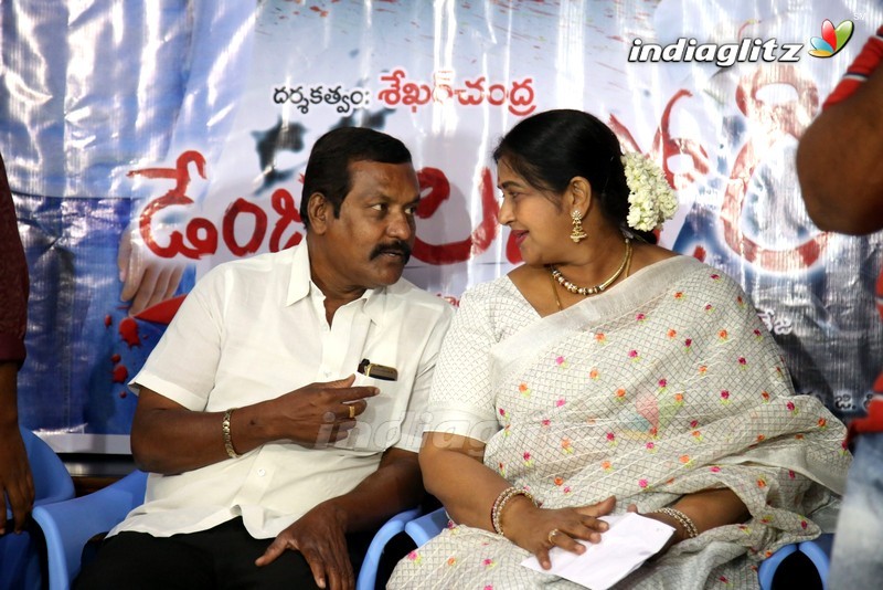 'Danger Love Story' Press Meet