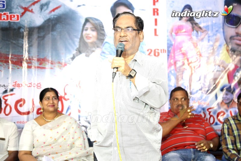 'Danger Love Story' Press Meet