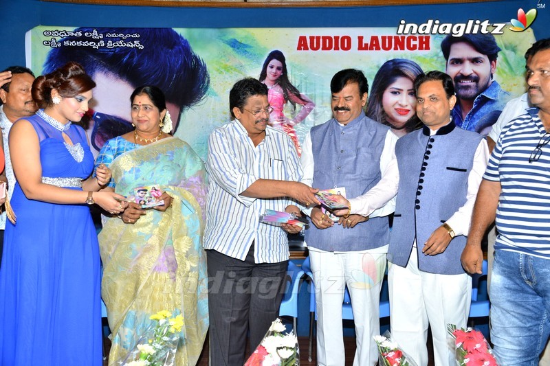 'Danger Love Story' Audio Launch