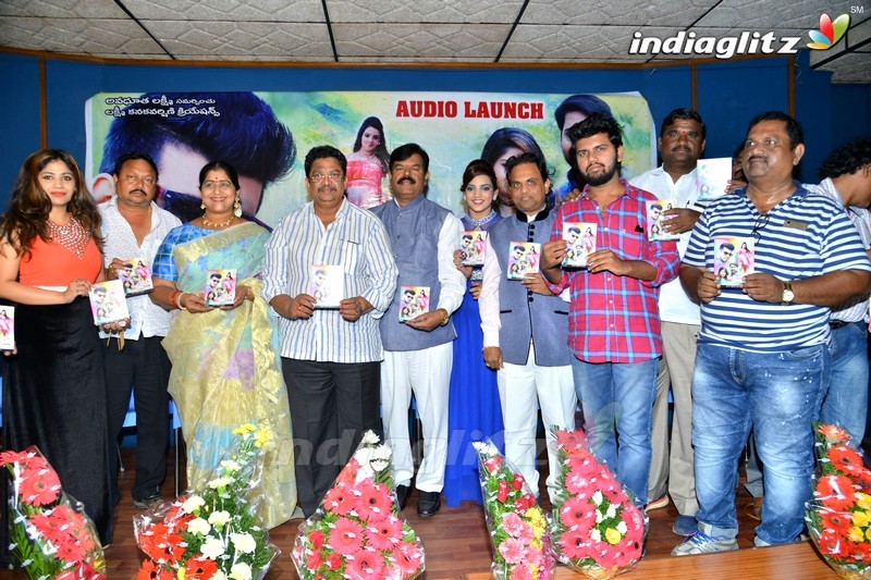 'Danger Love Story' Audio Launch