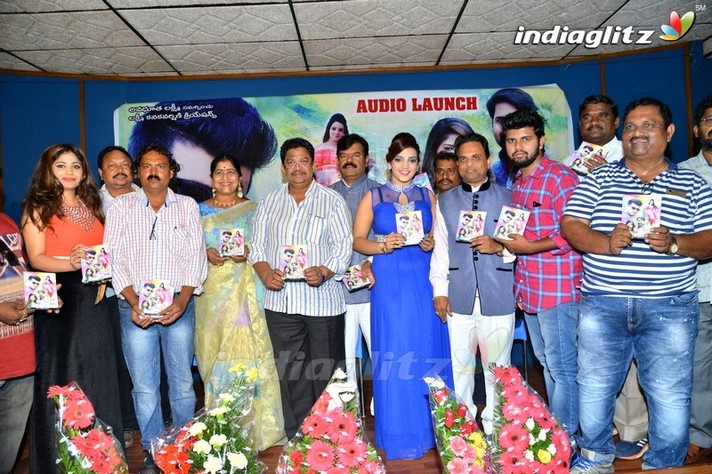 'Danger Love Story' Audio Launch