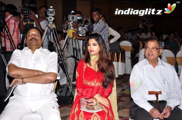 'David Billa' Audio Launch