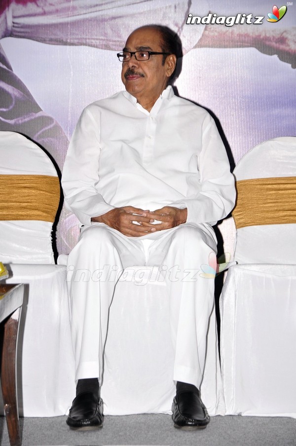 'David Billa' Audio Launch