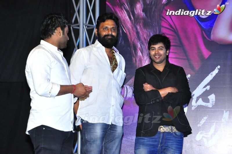 'Dhada Puttistha' Audio Launch