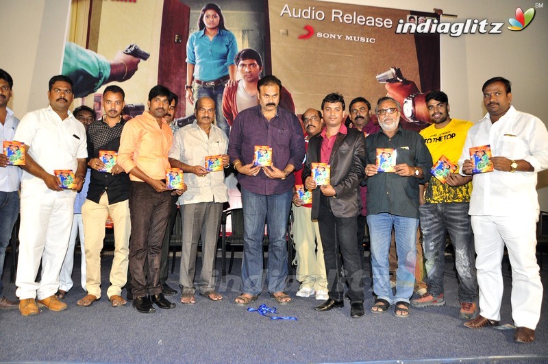 'Dhana Dhan' Audio launch