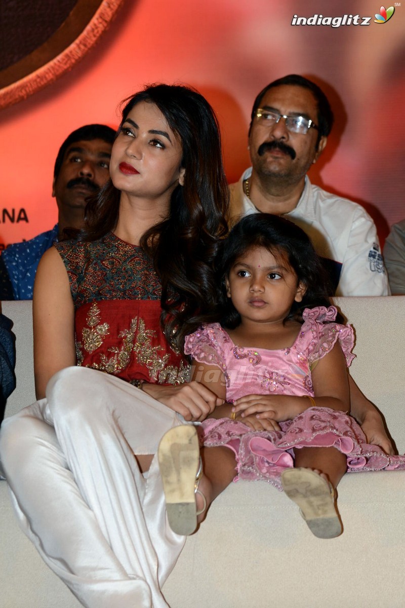 'Dictator' Success Meet