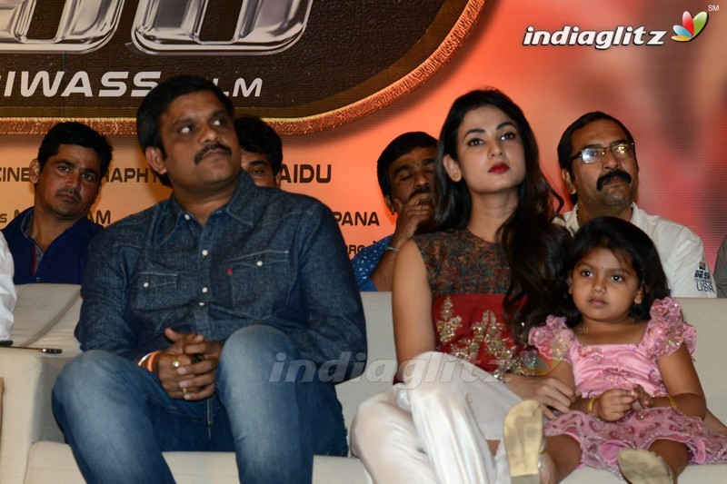 'Dictator' Success Meet