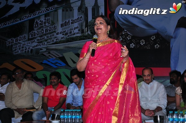 'Dookudu' Success Meet - Set 2