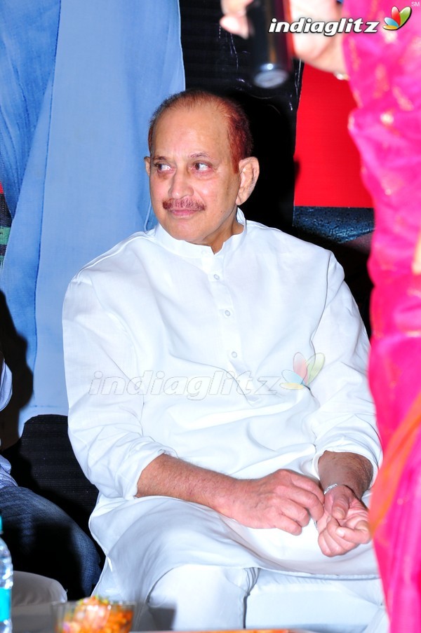 'Dookudu' Success Meet - Set 2